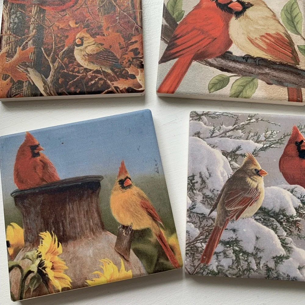 N/A beautiful cardinal